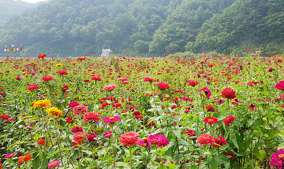 하단내용 참조